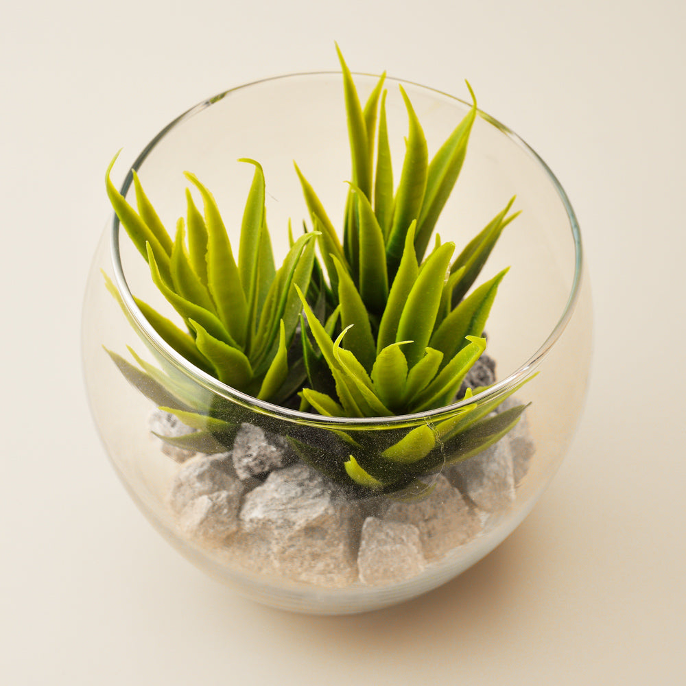 Artificial Green Succulent Plant in Glass Bowl with Pebbles – Modern Tabletop Decor for Home & Office