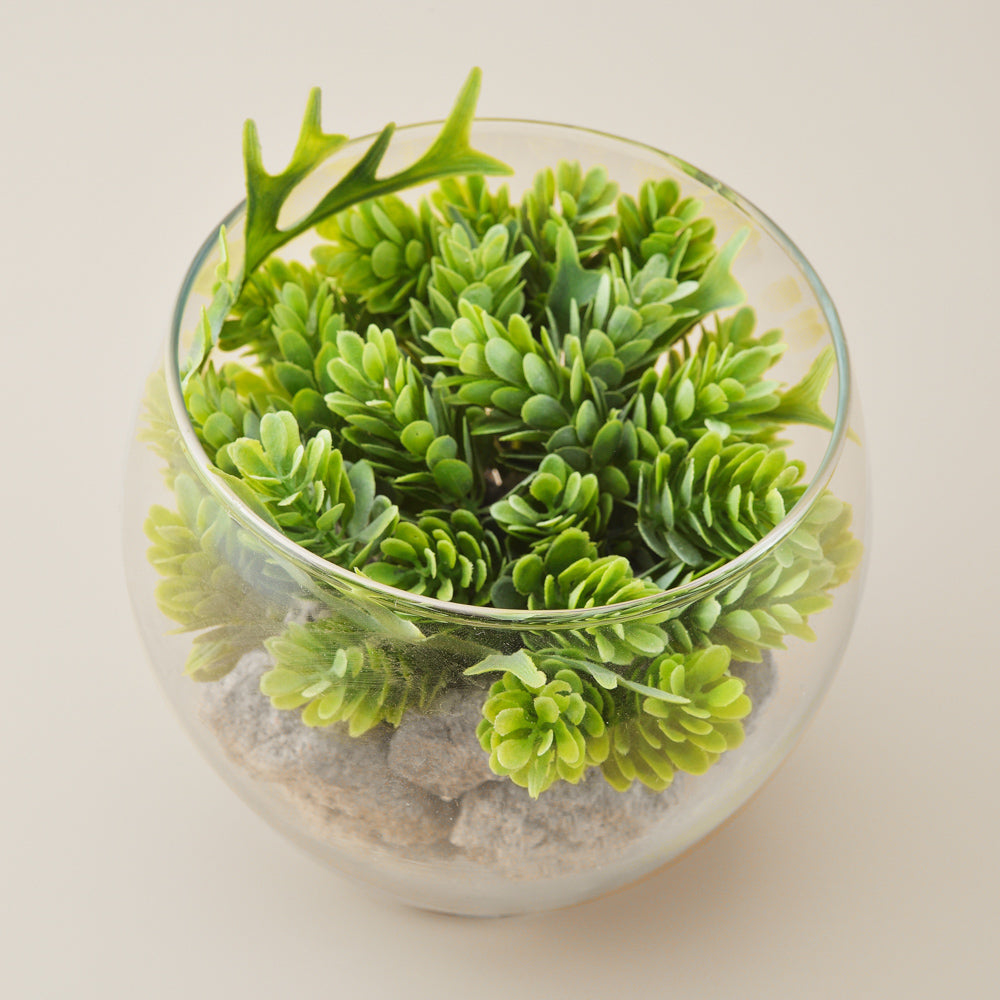 Artificial Green Succulent Plant in Glass Bowl with Pebbles – Modern Tabletop Decor for Home & Office