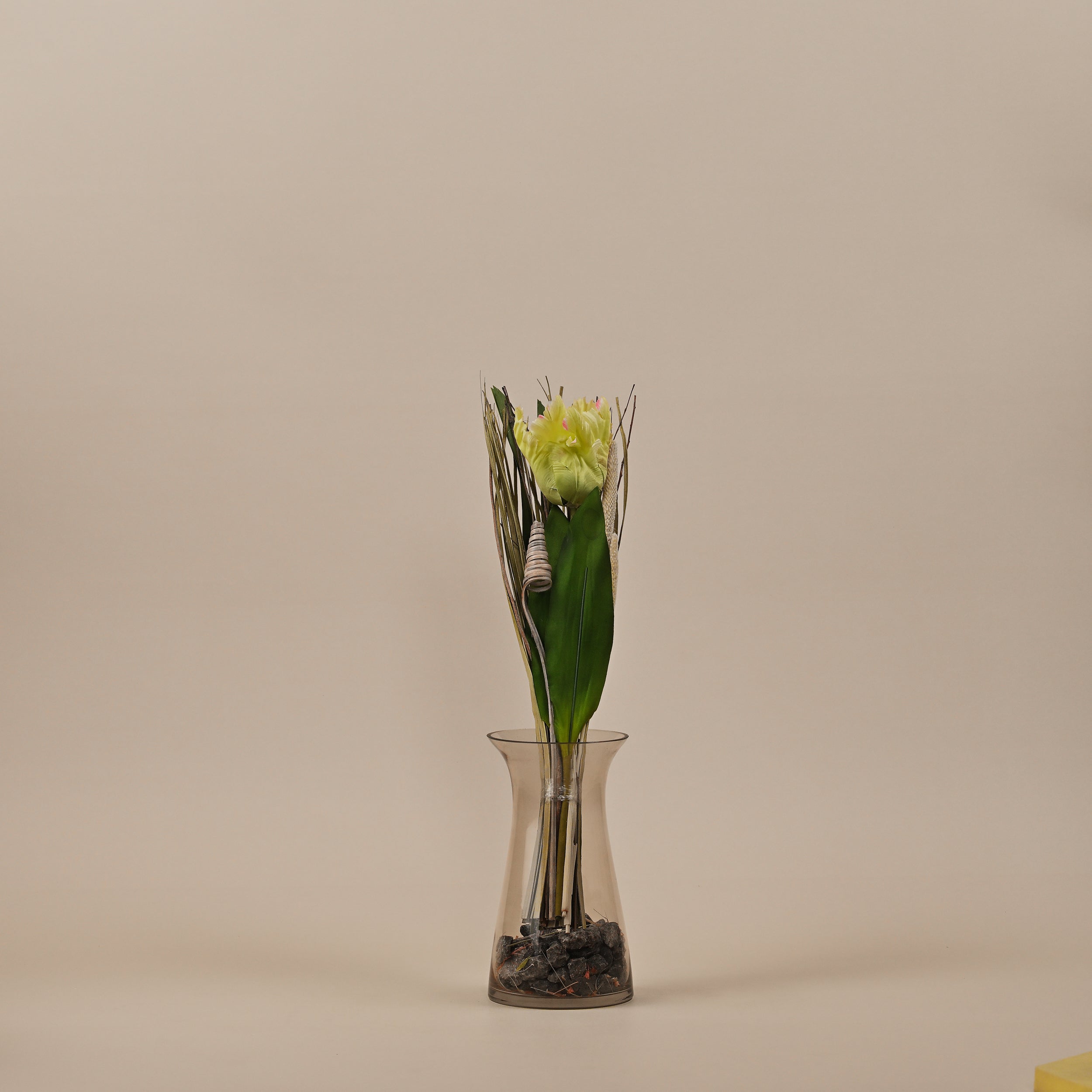 DRIED YELLOW TULIP BUNCH
