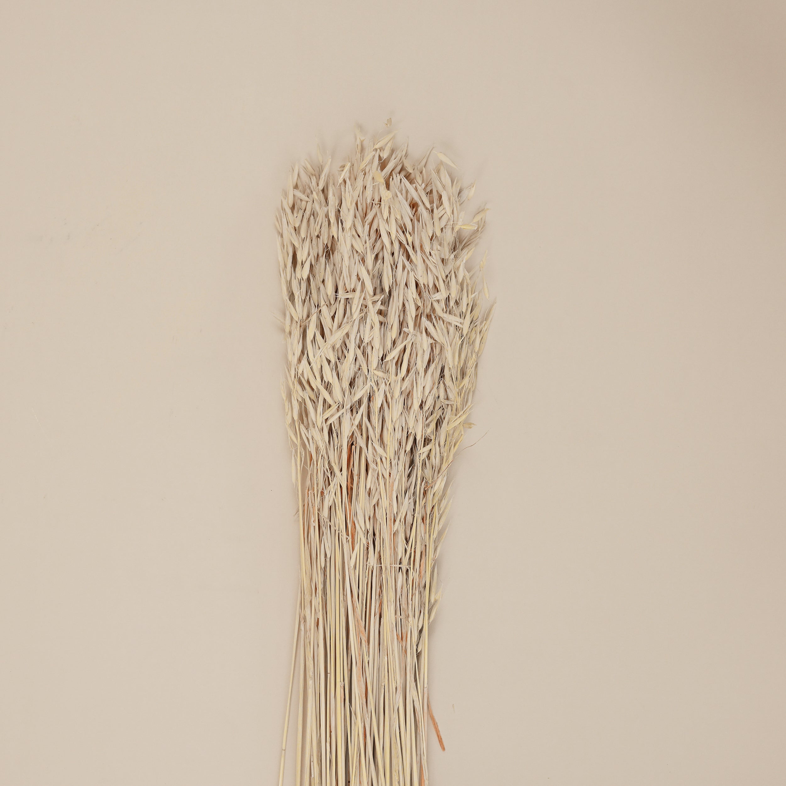 HAVANA GRASS BUNCH