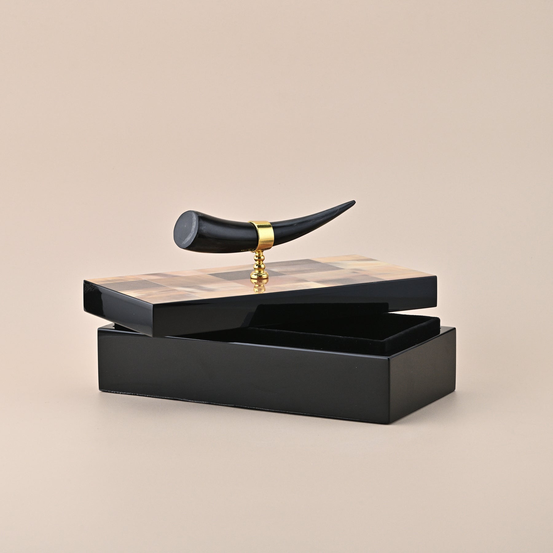 BLACK STORAGE BOX WITH HORN HANDLE