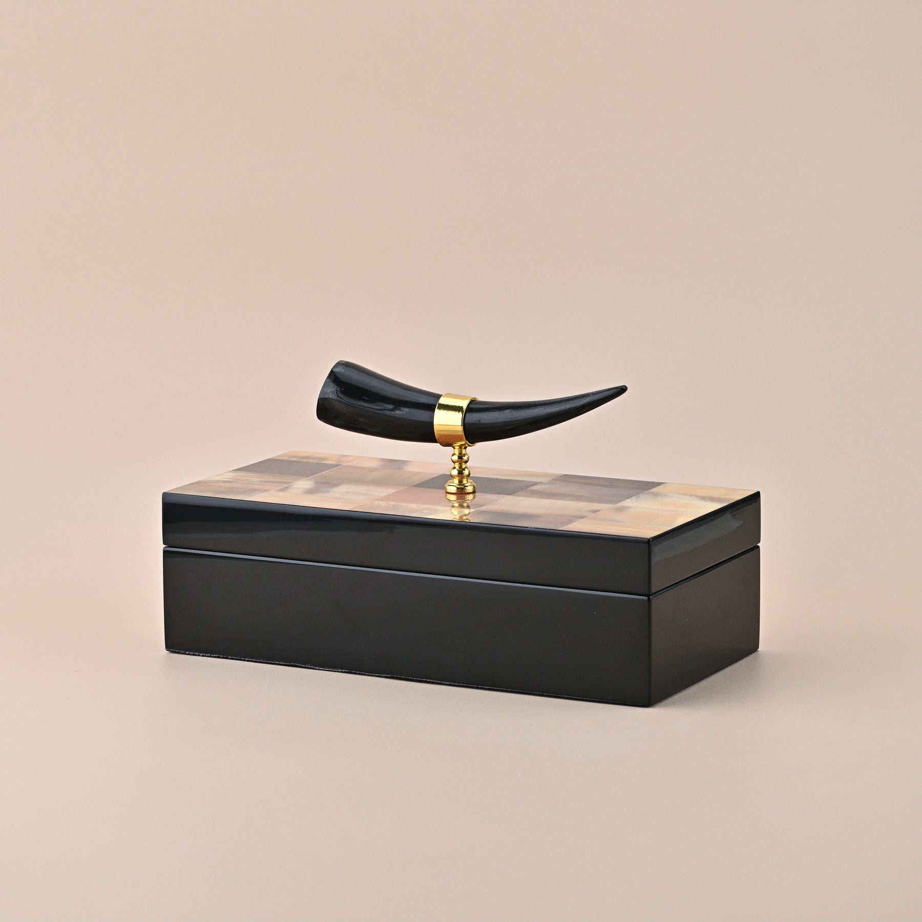 BLACK STORAGE BOX WITH HORN HANDLE