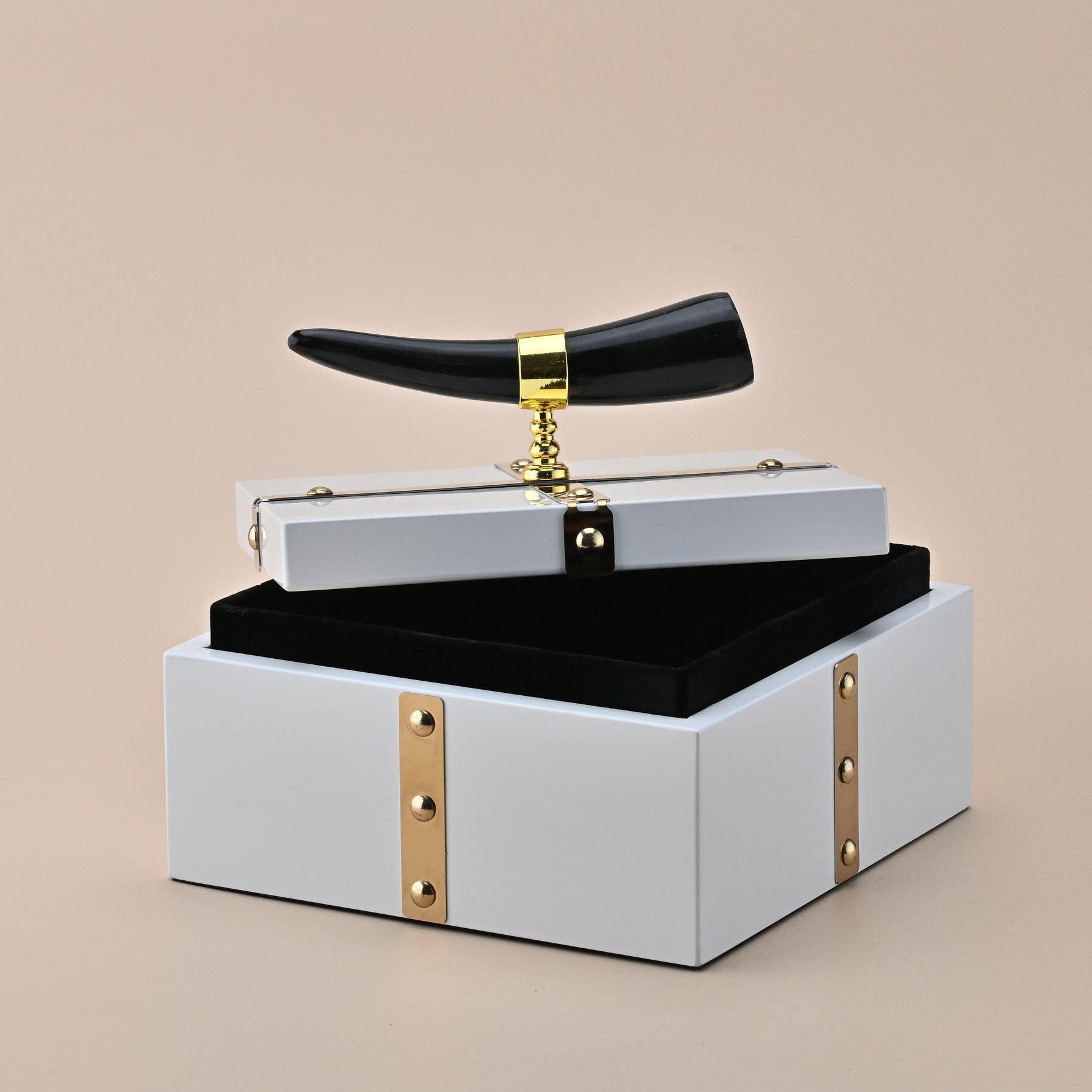 WHITE SQUARE STORAGE BOX WITH BLACK HORN HANDLE