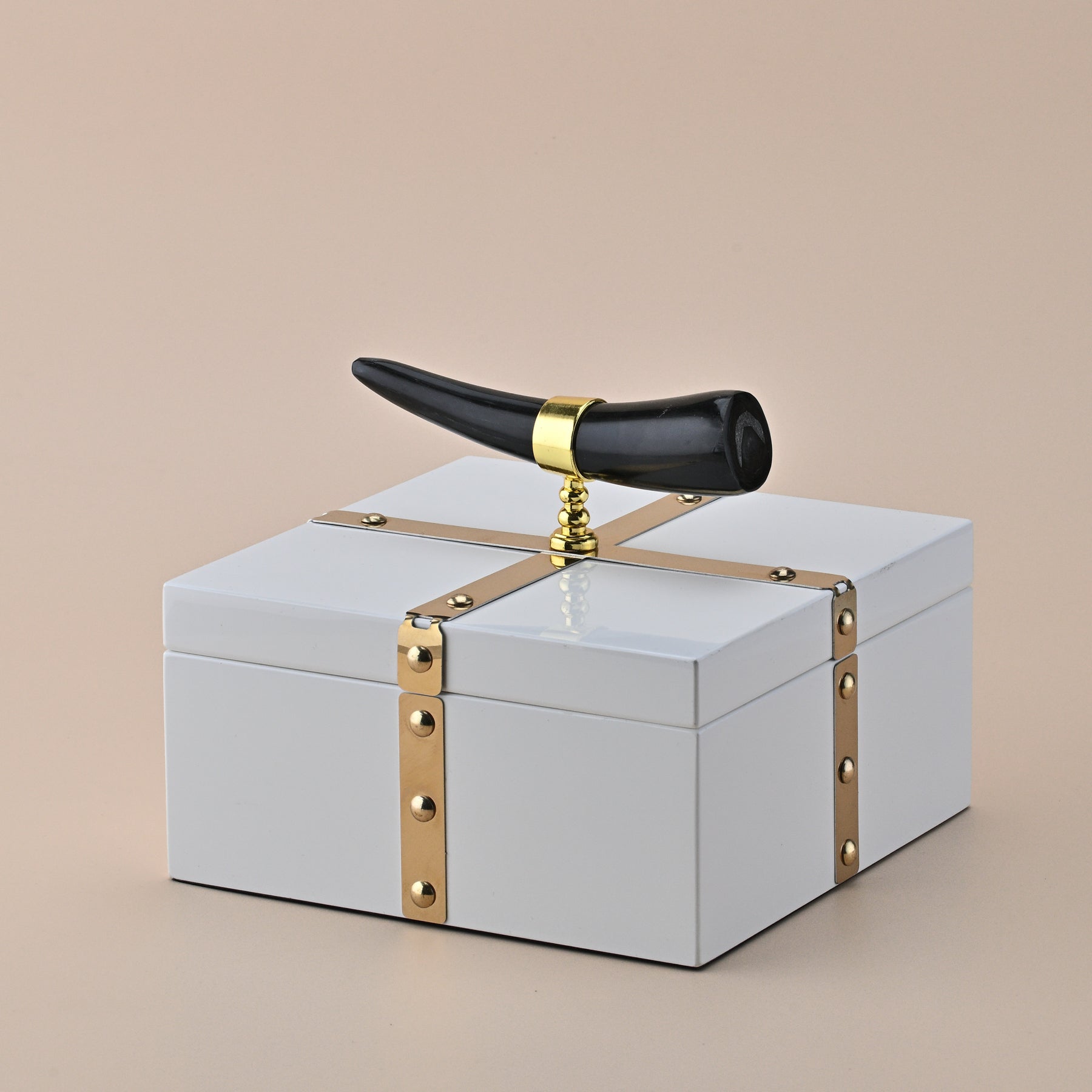 WHITE SQUARE STORAGE BOX WITH BLACK HORN HANDLE