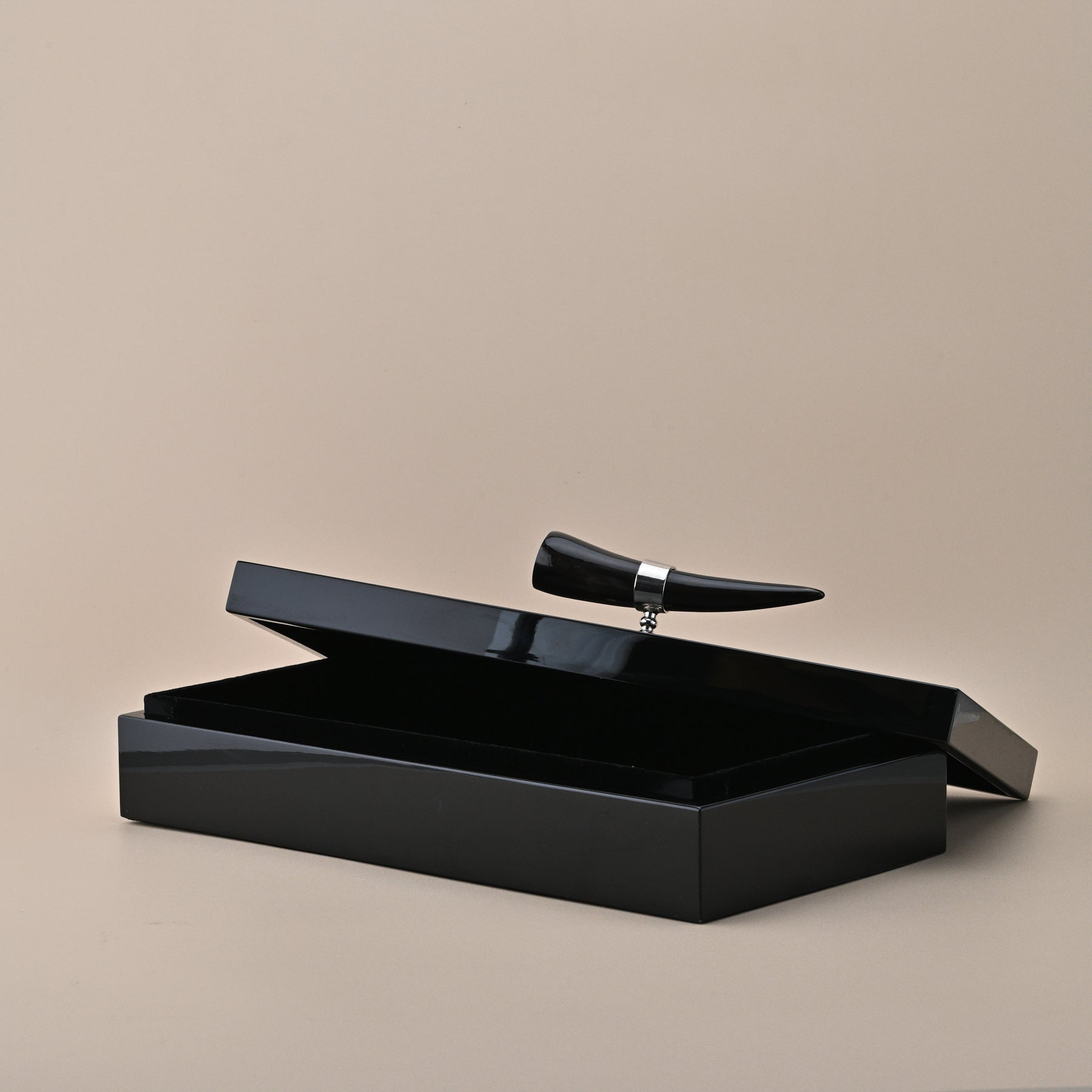 BLACK STORAGE BOX WITH HORN HANDLE