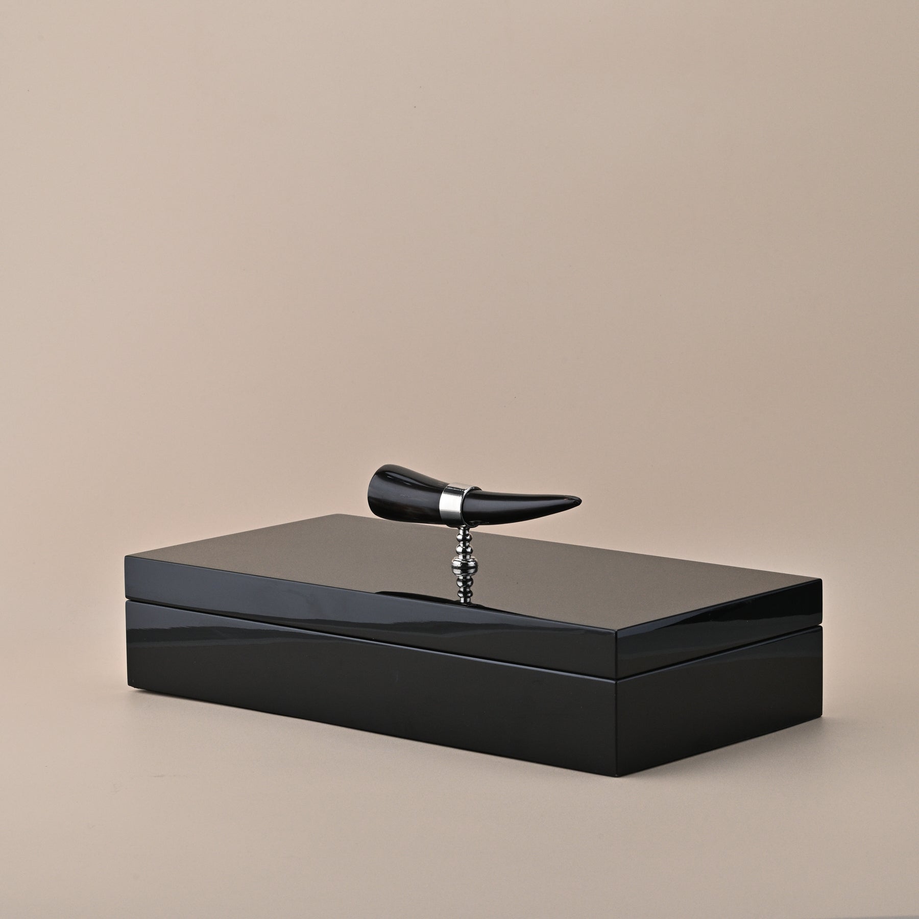 BLACK STORAGE BOX WITH HORN HANDLE