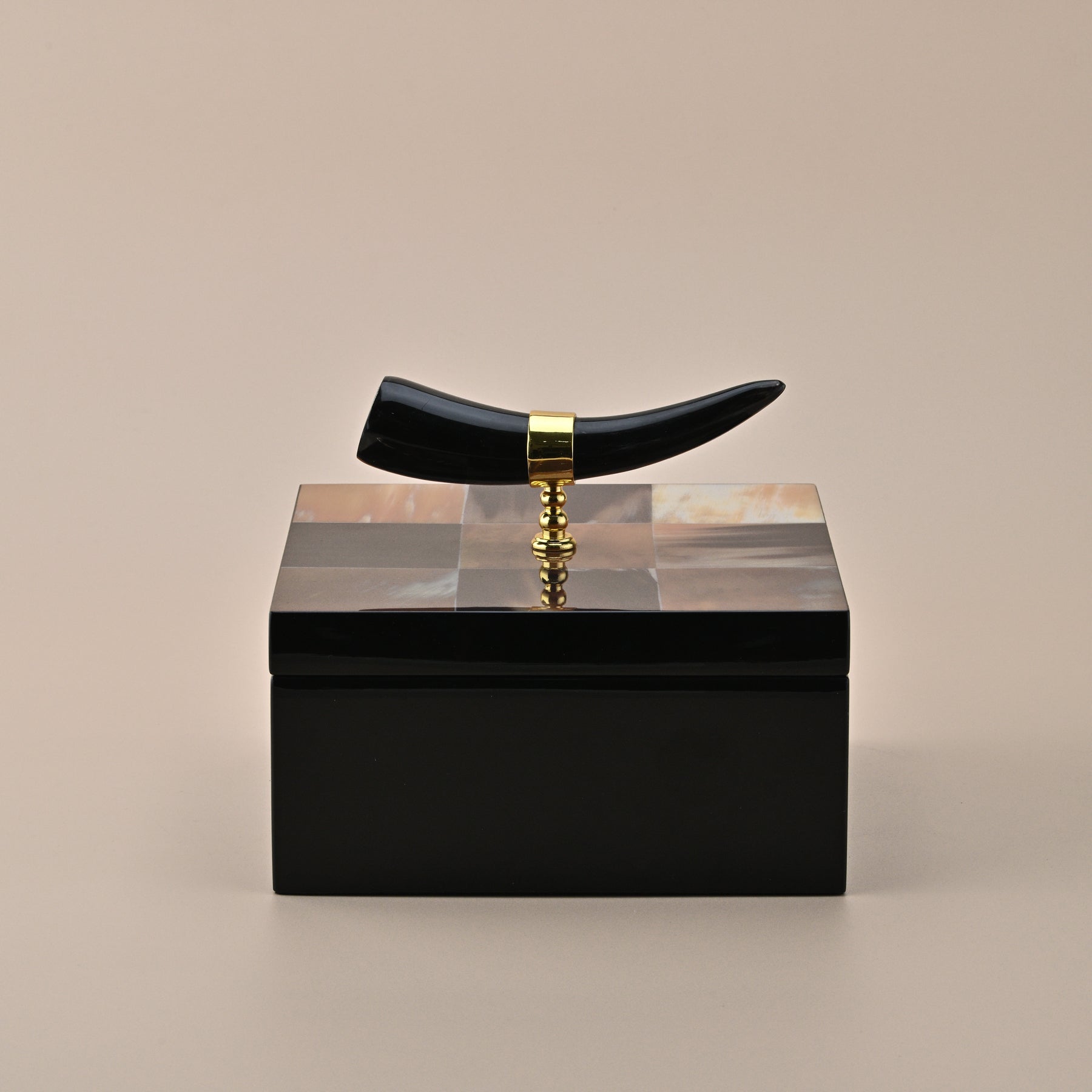 BLACK SQUARE STORAGAE BOX WITH HORN HANDLE 