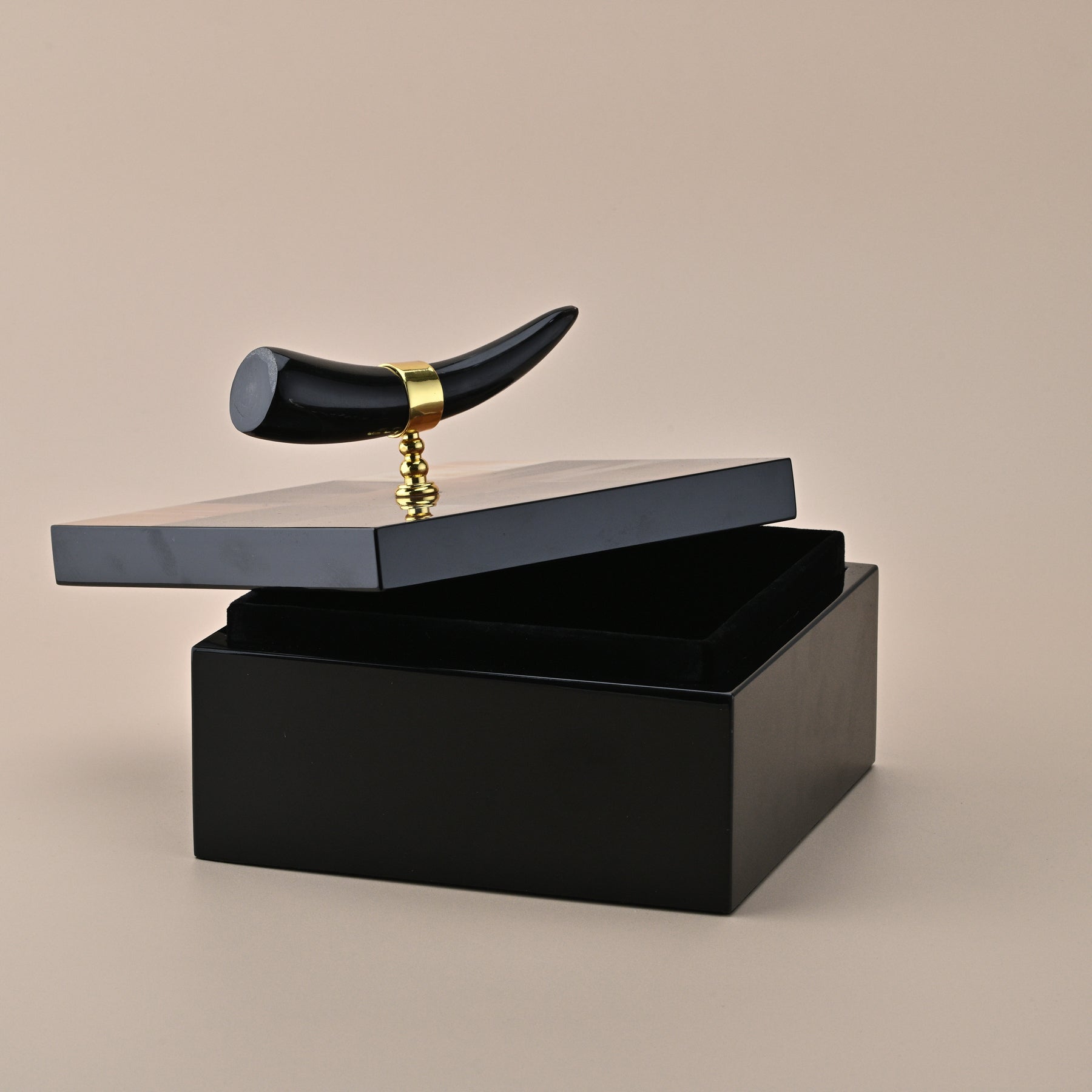 BLACK SQUARE STORAGAE BOX WITH HORN HANDLE 