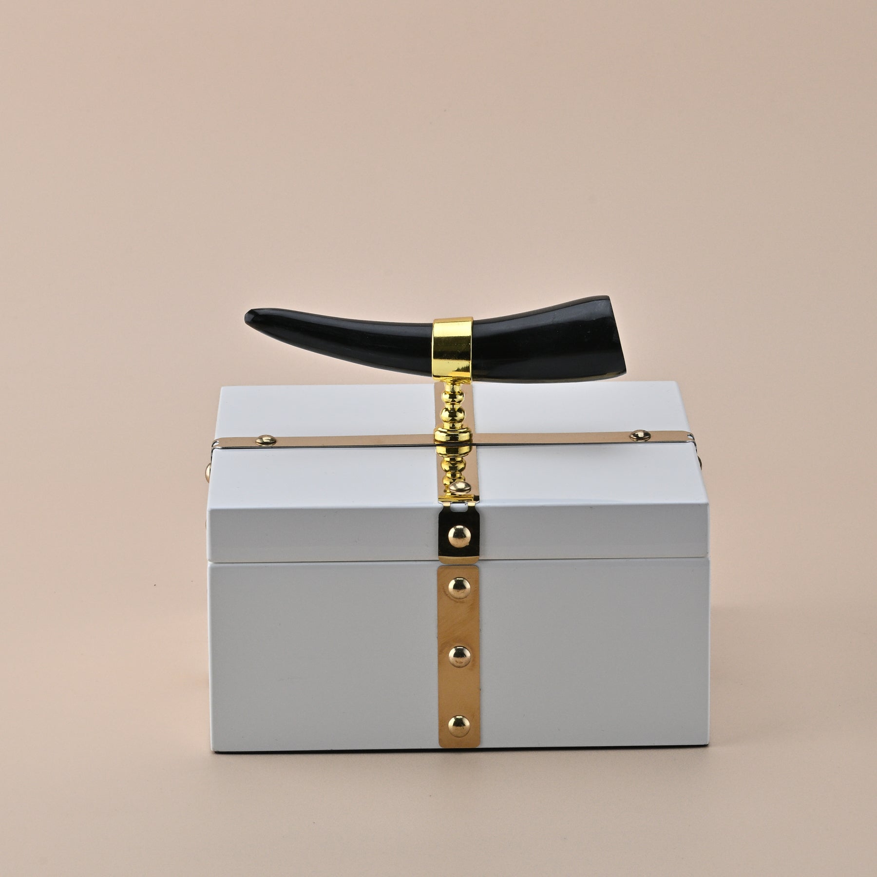 WHITE SQUARE STORAGE BOX WITH BLACK HORN HANDLE 