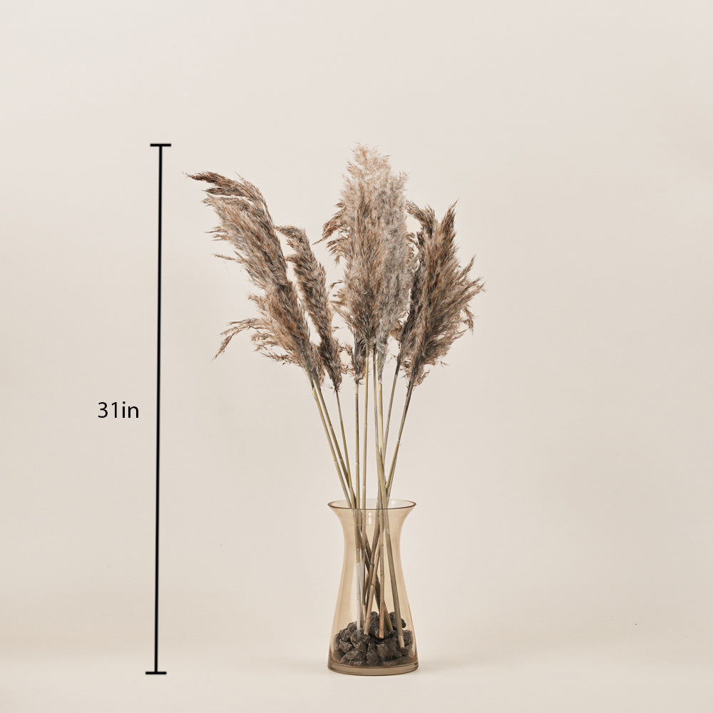 PAMPAM GRASS BUNCH